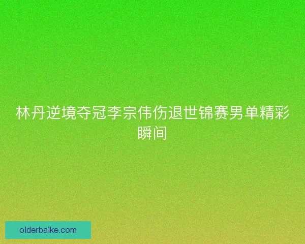林丹逆境夺冠李宗伟伤退世锦赛男单精彩瞬间 林丹逆境夺冠李宗伟伤退世锦赛男单精彩瞬间